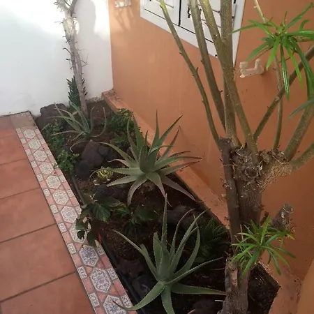 Centro De Atraccion * Playa del Ingles (Gran Canaria)